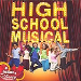 Cast of High School Musical (Disney Original)